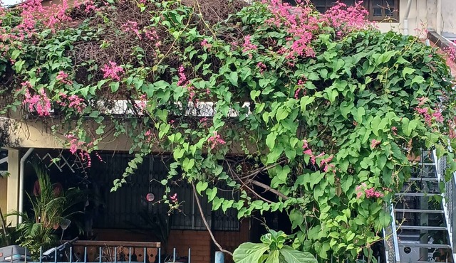 Serene Mountain Retreat in KL - Entire House for Rent