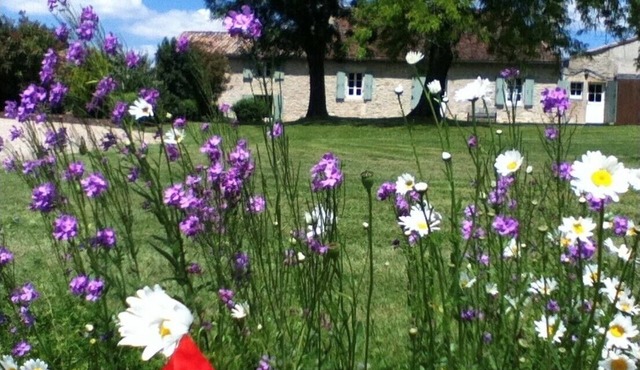 Serene périgourdine with equestrian facilities and immediate access to forest