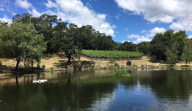 Serene Pied a Terre in the Wine Country (TOT 695N)