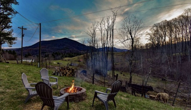 Serene Pine Tree Meadows Cottage w/Stunning Views