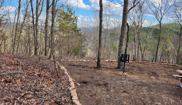 Serene primitive tent campsite in rural Anniston, AL