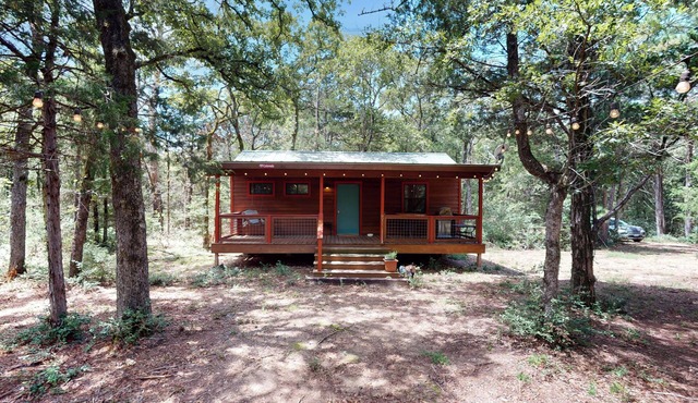 Serene & Secluded Paige Cabin: Dogs Welcome!