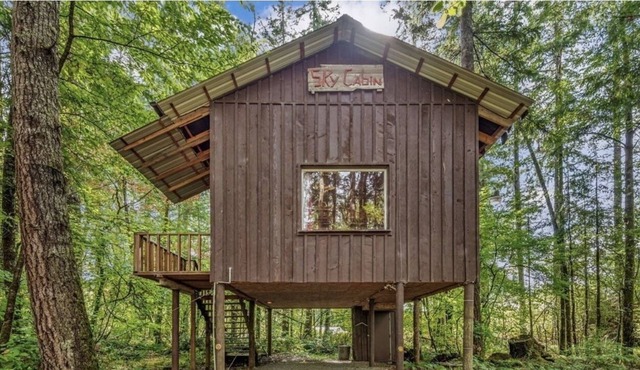 Serene Sky Cabin in Castle Rock. 1bed/1bath + a loft , private, pet friendly