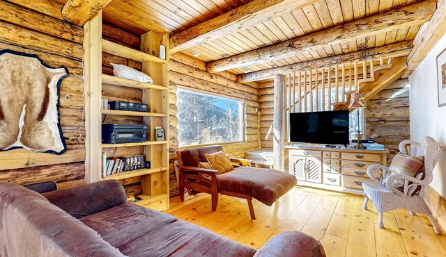 Serene & sunlit dog-friendly cabin with hot tub, fire pit, & views - near skiing