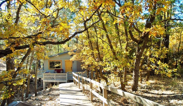 Serene, Wooded Home with Cozy Deck and Firepit! 1 Mile to Downtown!