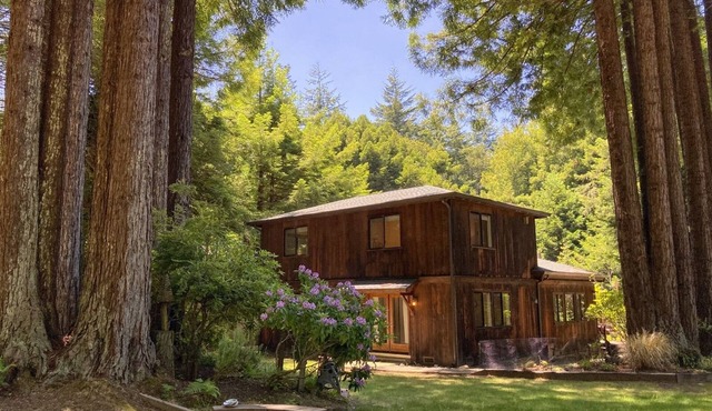 Serenity Grove - The peaceful and serene coastal cabin in the Redwoods