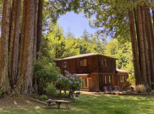 Serenity Grove
