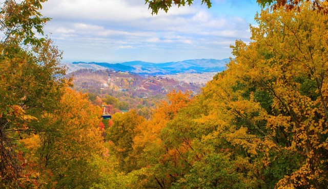 Serenity Heights - AWESOME VIEWS, Hot Tub, $560 FREE tickets each paid day!