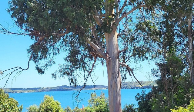 Serenity in the heart of nature