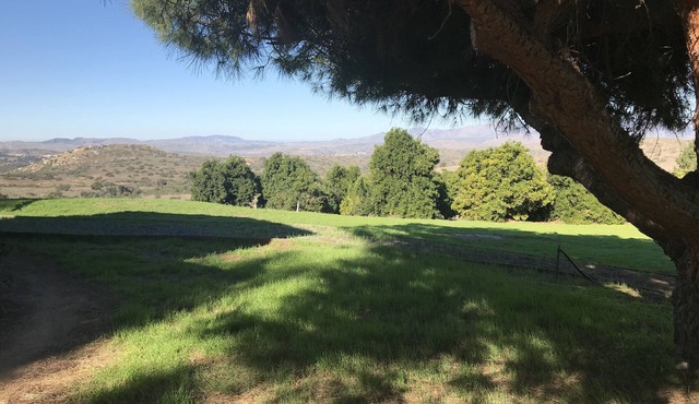 Serenity Is Yours in Fallbrook