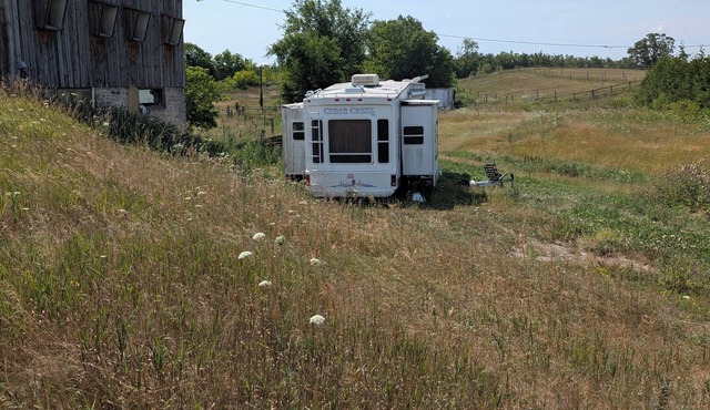 Serenity Lane Farm Stay: a trailer next to a barn full of farm animals