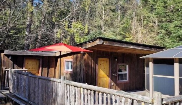 Serenity Lane Stay: Private cabin in the woods on an animal sanctuary