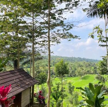 Serenity Lodge Tetebatu Lombok
