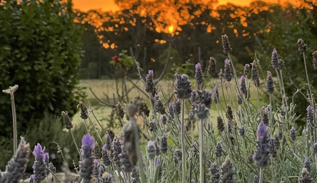 Serenity on Stanthorpe