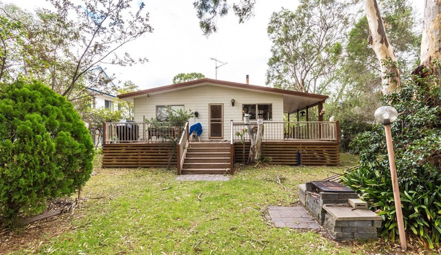 Serenity on the koala trail