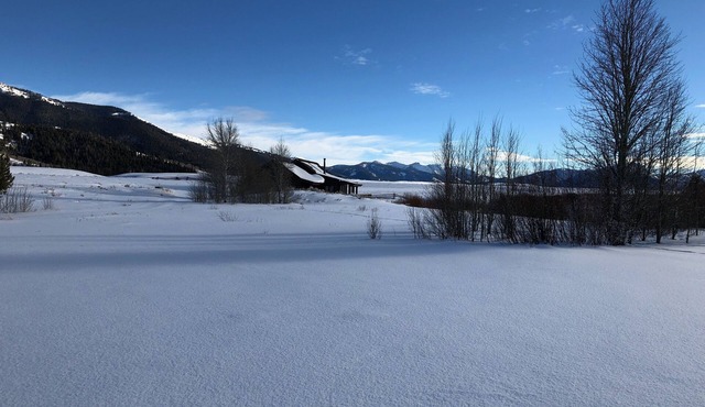 Serenity on the Salmon River