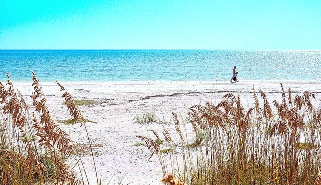 Serrano 201 by Distinctive Beach Rentals