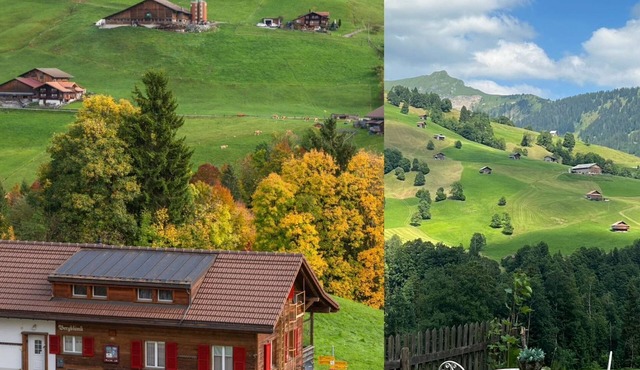 Serviced Apartment Chalet Bärgblüml i Ha by Interhome