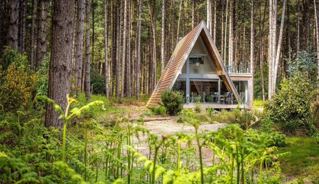 Set in an exclusive and secluded development of gorgeous woodland lodges in Weybourne Forest, Liz's