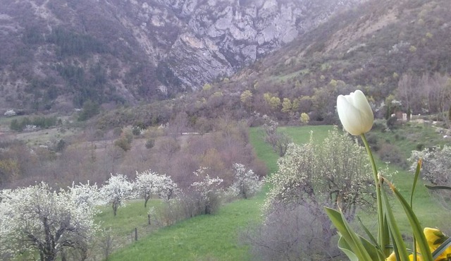 Set of 3 renovated and soundproofed studios at the Oule Valley Inn