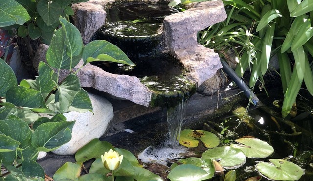 Settlement Motor Inn, Deniliquin