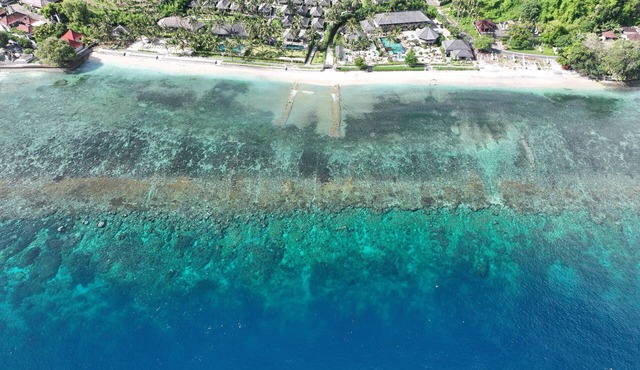 Seven Dreams A Pramana Experience