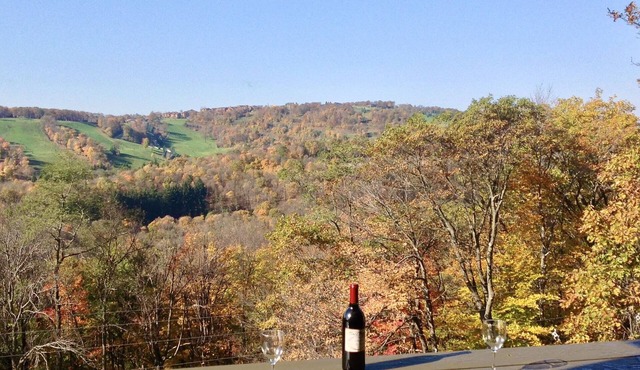 Seven Springs Mt Villas Condo; Ski, Board, Play and/or Relax; Panoramic Views!