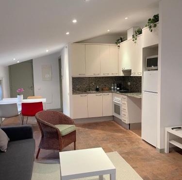 SG Apartamento céntrico ático