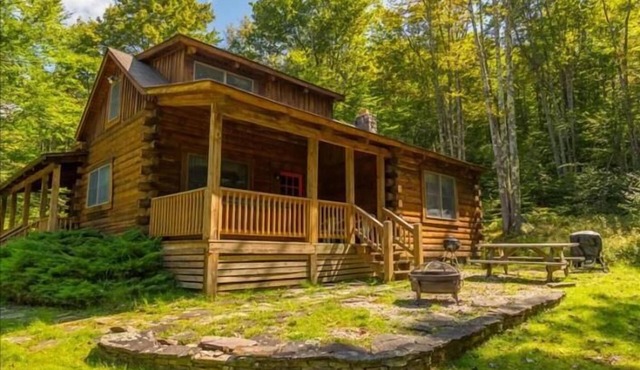 SG18- Private, Log Home! Hot Tub! Dolly Sods Access! Pets ok!