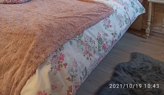 Shabby chic guest room