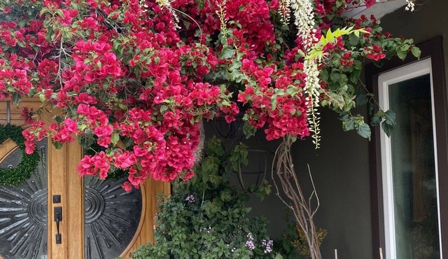 Shabby Chick Studio in the heart of OC