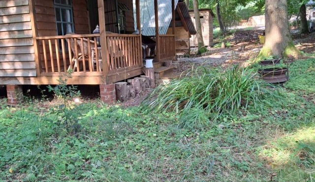 Shack in The Woods - Off Grid