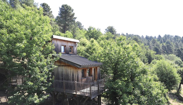 SHACK ON PILOTIS IN CEVENNES