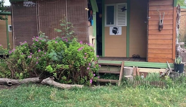 Shaded wooden bungalow, 200 meters from the sea, in a lovely green setting