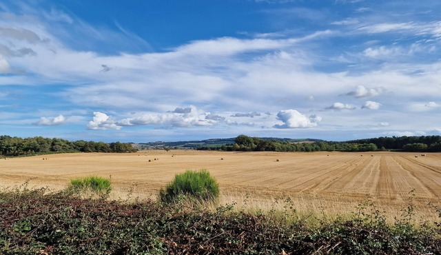 Shadow Escapes, Shadow Escapes - Morning Rising