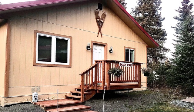 SHADY ACRES, NEW! ANCHOR POINT, PET FRIENDLY, NEAR CHARTER FISHERIES, GOLFING