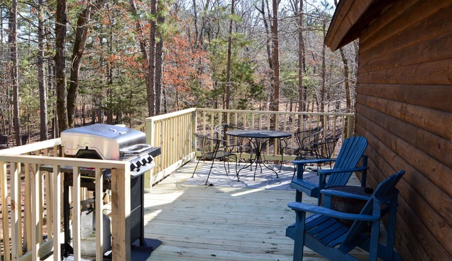 Shady Bend Bunk house, sleeps 4, 1 mile from the WPG south trail head.
