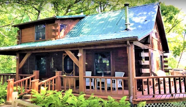 Shady Oaks -- Charming and secluded log cabin surrounded by trees!