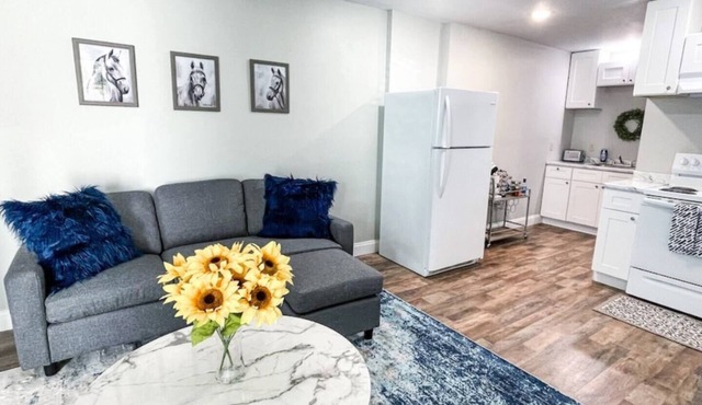 Shady Oaks Condo- King Bed, Walk to Main St.