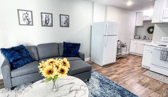 Shady Oaks Condo- King Bed, Walk to Main St.