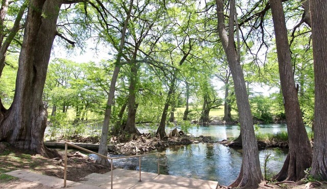 Shady River Oasis | Pet-Friendly | WiFi | King Bed