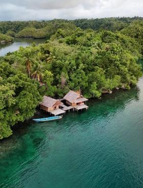 "Shady Sea Raja Ampat"