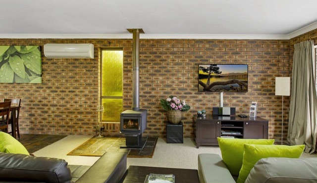 Shady Trees Barrington