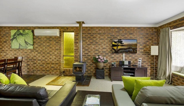 Shady Trees Barrington