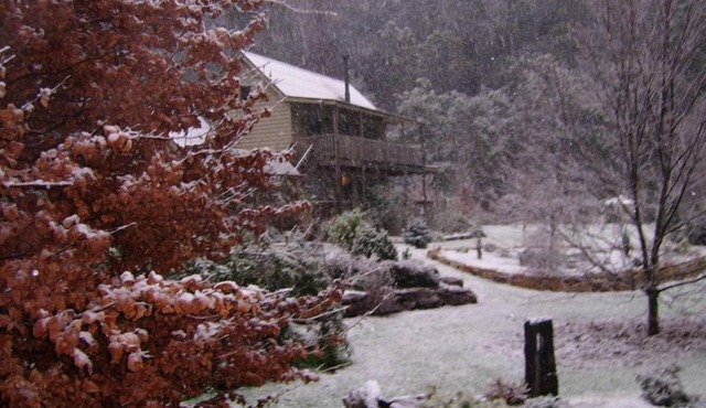 Shadybrook Alpine Apartment and garden