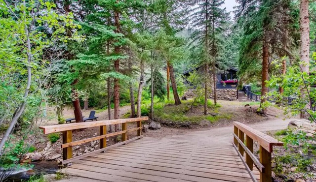 SHALE Vibrant & Chic Mod Stylish CREEKSIDE CABIN