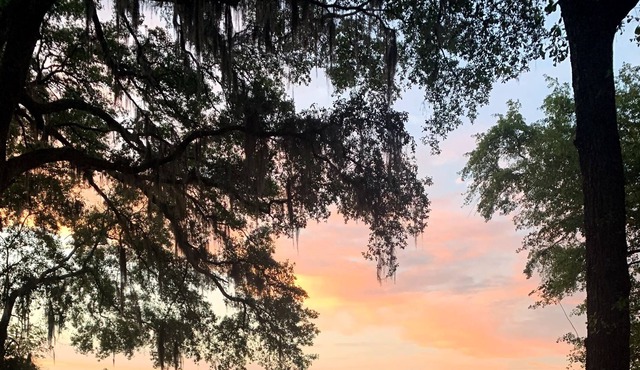 Shangrila Lake Talquin!!