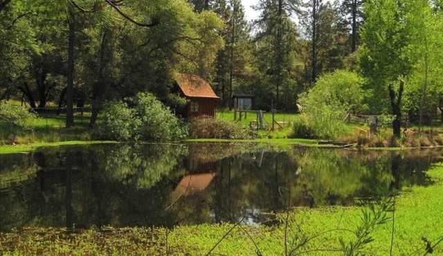 Shangrila with view of wildlife pond above artist's studio in Rough and Ready