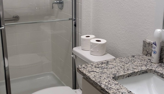 Shantiniketan3 D 3 Fully Furnished 2-Bedroom Condo for Rent in Tavares, FL