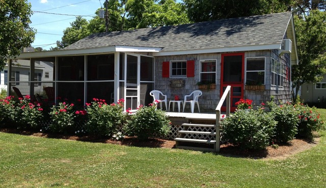 Share Splendid Sunsets Over the Beautiful Chesapeake Bay!